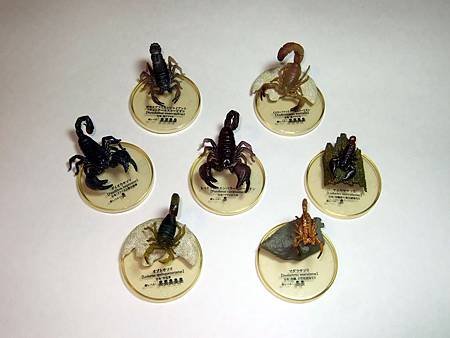 DSCF9967_TAKARA TOMY ARTS Mystery Creatures Encyclopedia Scorpions_調整大小.JPG