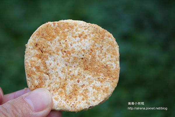 thumb_IMG_9228_1024.jpg