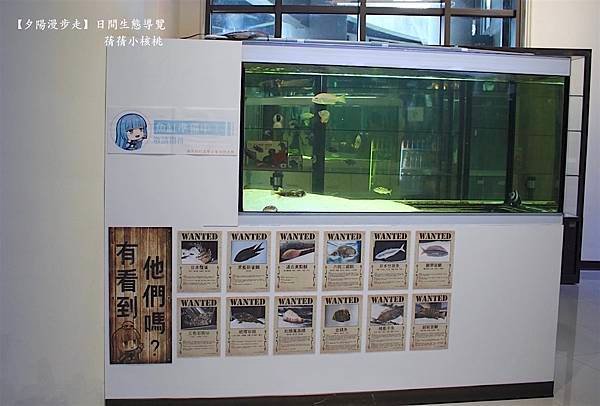 thumb_IMG_4816_1024.jpg