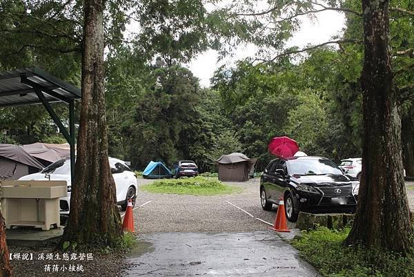 【南投露營】Chanshuo  蟬說   溪頭生態露營區⎪百