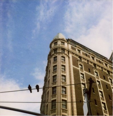 nyc-home-building_birds_on_wire_new_20130816_1915.jpg