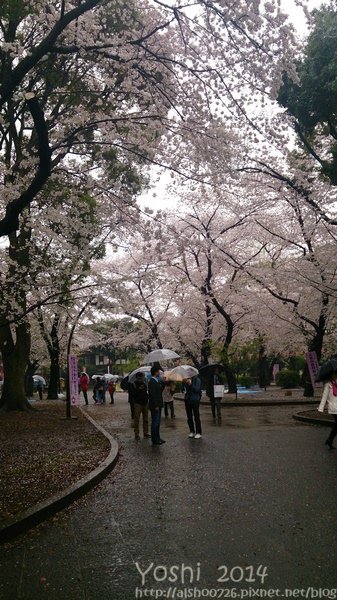 nEO_IMG_DSC_0900