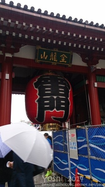 nEO_IMG_DSC_0951