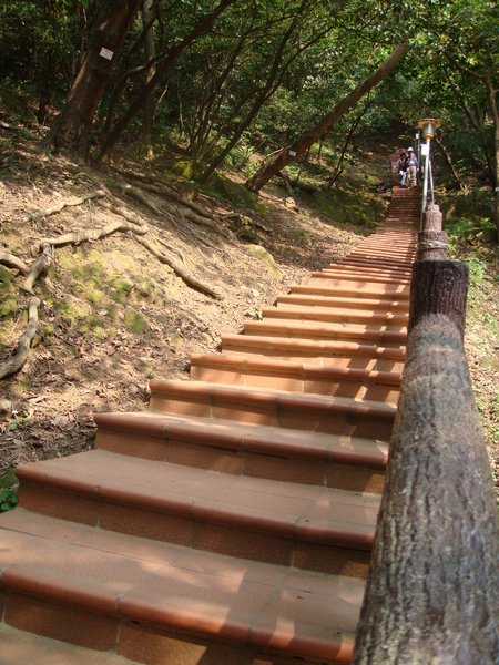 往&quot;鷹哥石&quot;的步道，還真長!!