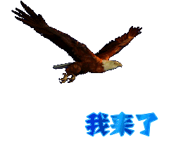 動畫鷹