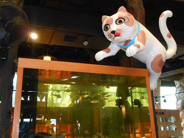 想吃魚的貓.JPG