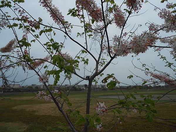 DSCN0199.JPG