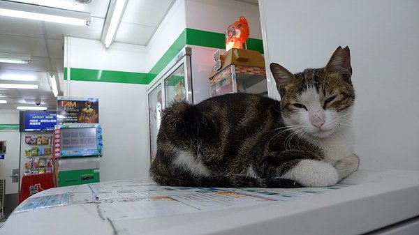 P1070367_調整大小.JPG
