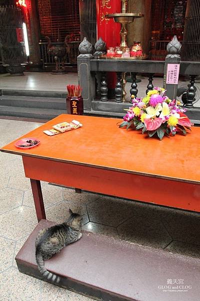 IMG_2897_調整大小.JPG