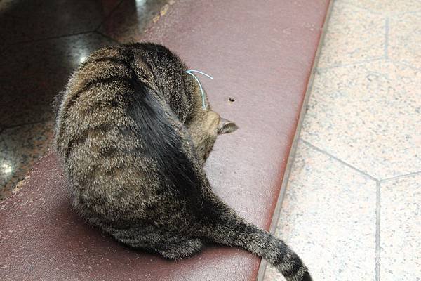 IMG_2880_調整大小.JPG