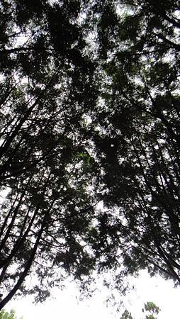 DSC00580.JPG
