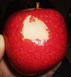 1026 Chloe&apos;s apple.jpg