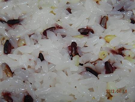 DSCN6795