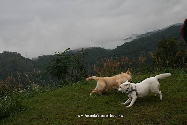 IMG_6704.JPG