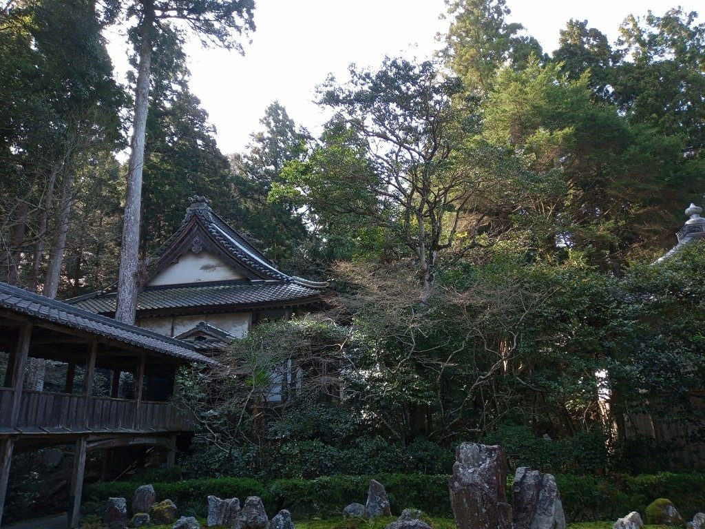 那些年在日本---滋賀縣彥根市/腳踏車閒晃半日遊/清涼寺/龍