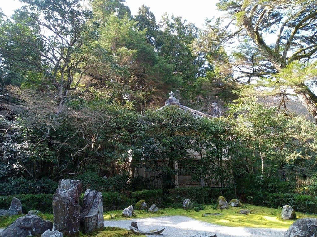 那些年在日本---滋賀縣彥根市/腳踏車閒晃半日遊/清涼寺/龍