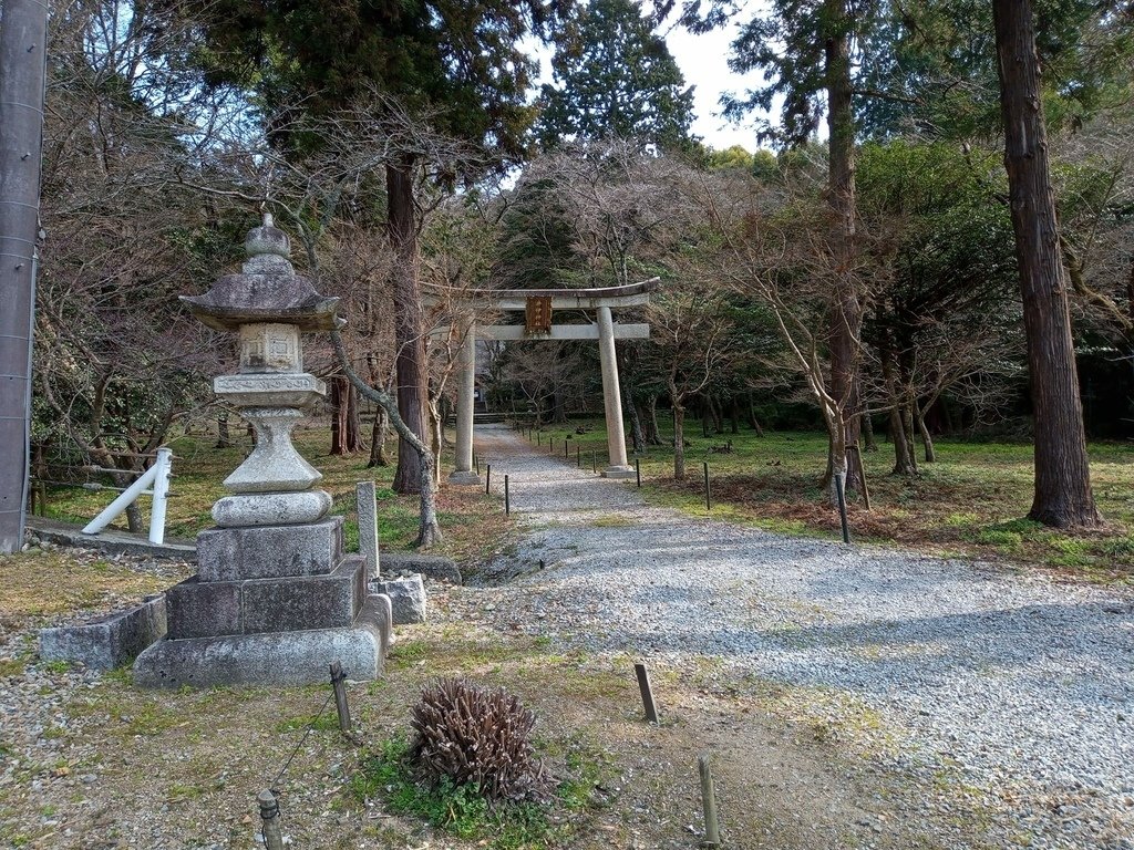 那些年在日本---滋賀縣彥根市/腳踏車閒晃半日遊/清涼寺/龍