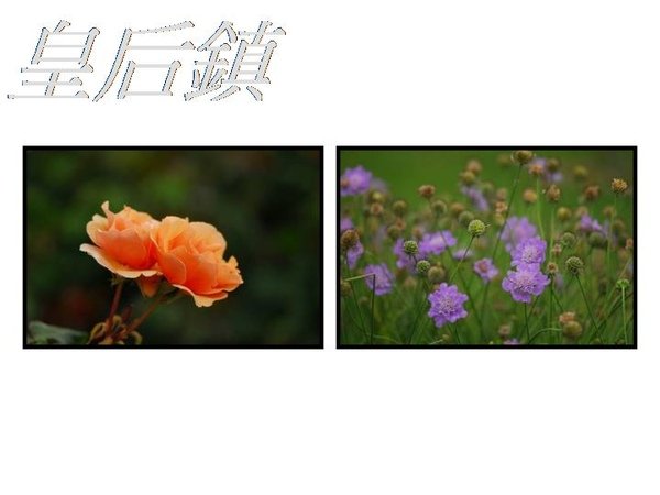 投影片49.JPG