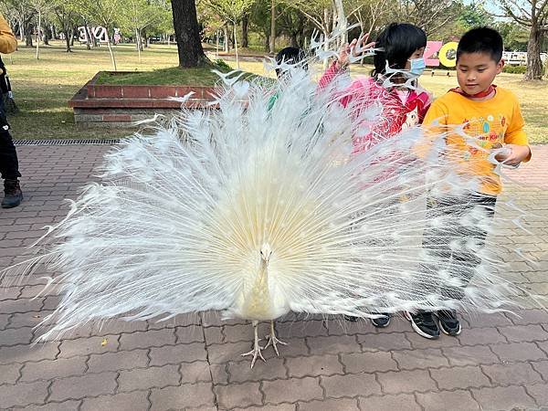 頑皮世界6.jpg