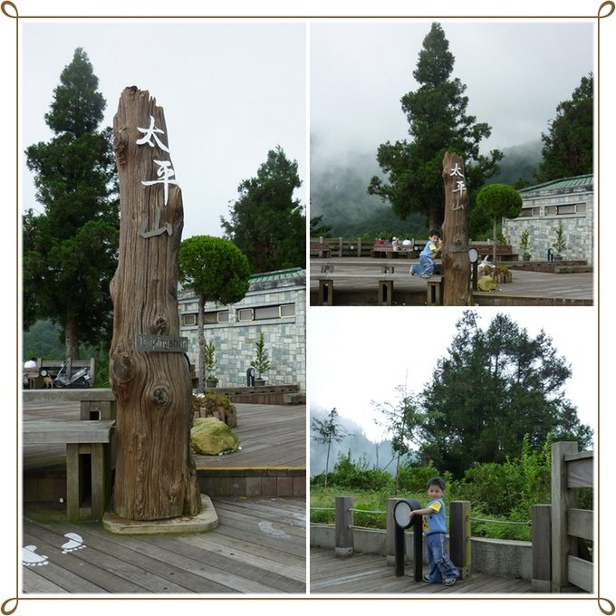 太平山樹標2.JPG