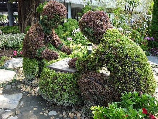 上海植栽.JPG