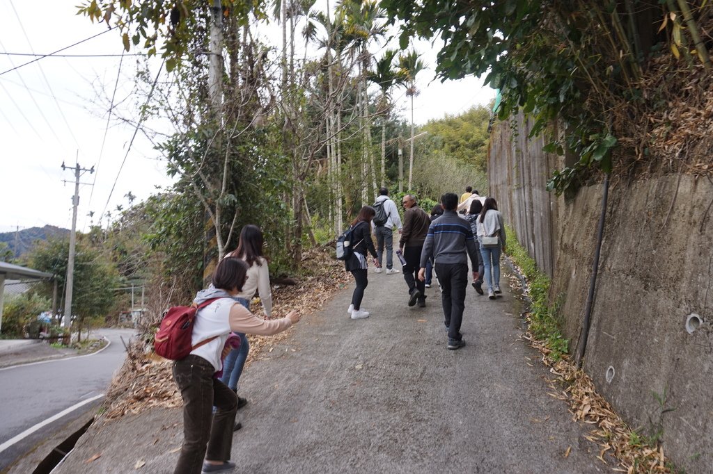 【1420 一世愛你的翠綠茶園環景】大風埕觀日峰