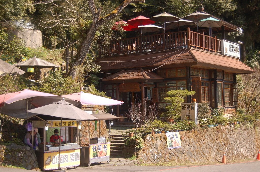 &lt;&lt;樂遊嘉義奮起湖&gt;&gt;2024奮起湖環繞步道行、北側杉林步道