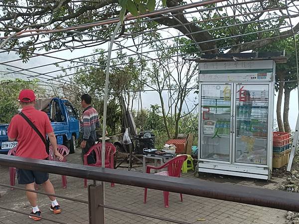 &lt;&lt;玩樂嘉義&gt;&gt;阿里山步道遊蹤二延平步道(一小時登頂觀景)