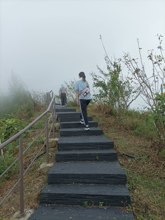 &lt;&lt;玩樂嘉義&gt;&gt;阿里山步道遊蹤二延平步道(一小時登頂觀景)