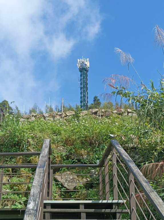 &lt;&lt;玩樂嘉義&gt;&gt;阿里山步道遊蹤二延平步道(一小時登頂觀景)