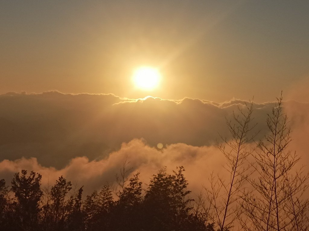 &lt;&lt;玩樂嘉義&gt;&gt;阿里山步道遊蹤二延平步道(一小時登頂觀景)