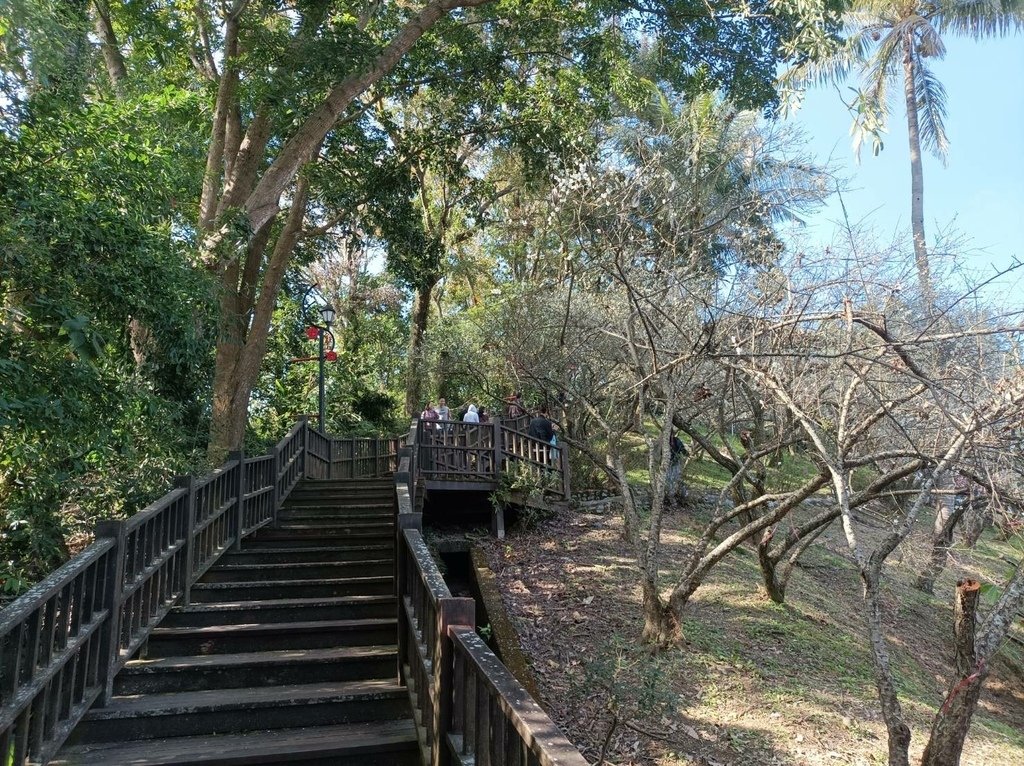 2025/01 遊樂嘉義節氣大寒前重遊-嘉義梅山公園