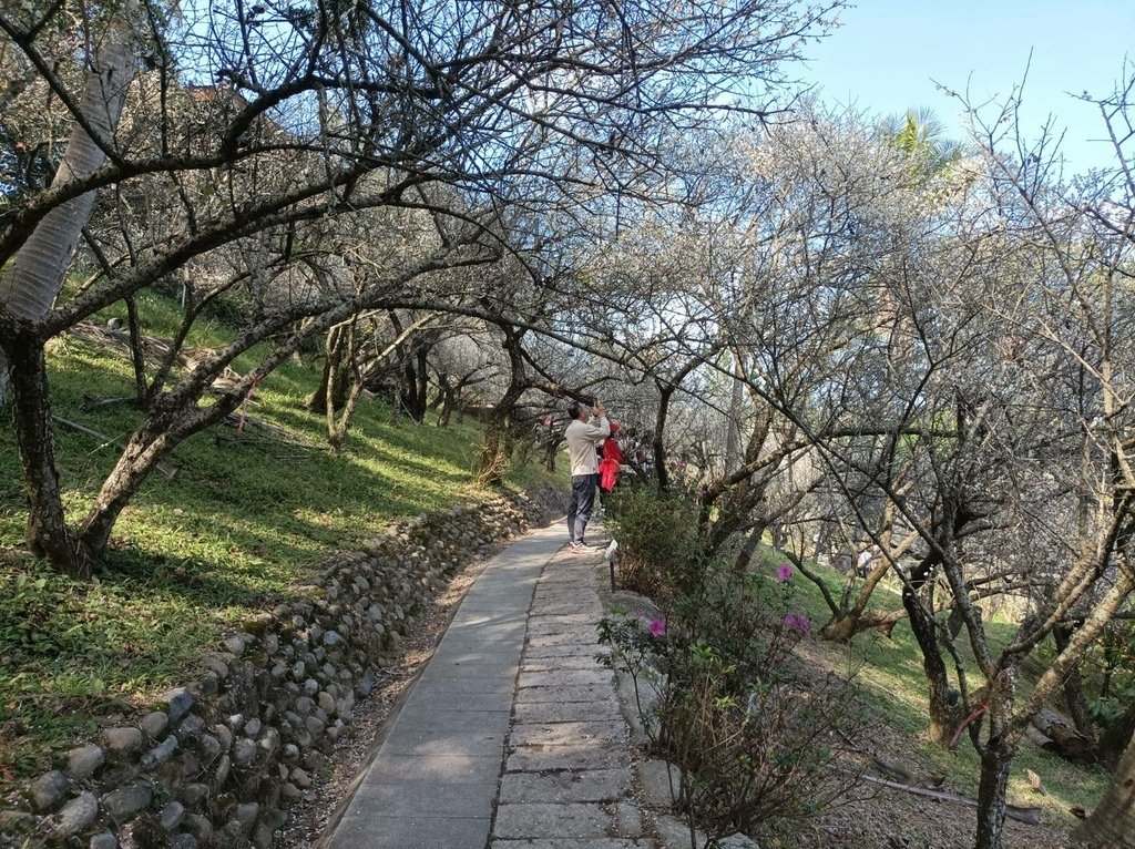2025/01 遊樂嘉義節氣大寒前重遊-嘉義梅山公園