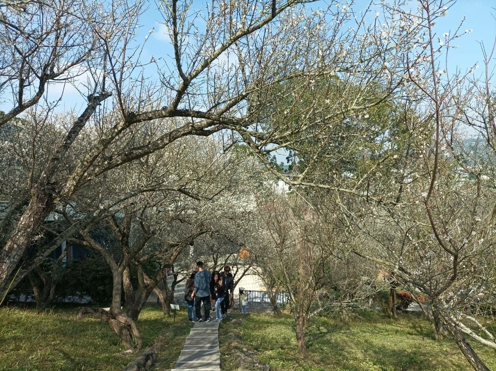 2025/01 遊樂嘉義節氣大寒前重遊-嘉義梅山公園