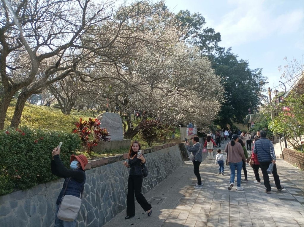 2025/01 遊樂嘉義節氣大寒前重遊-嘉義梅山公園