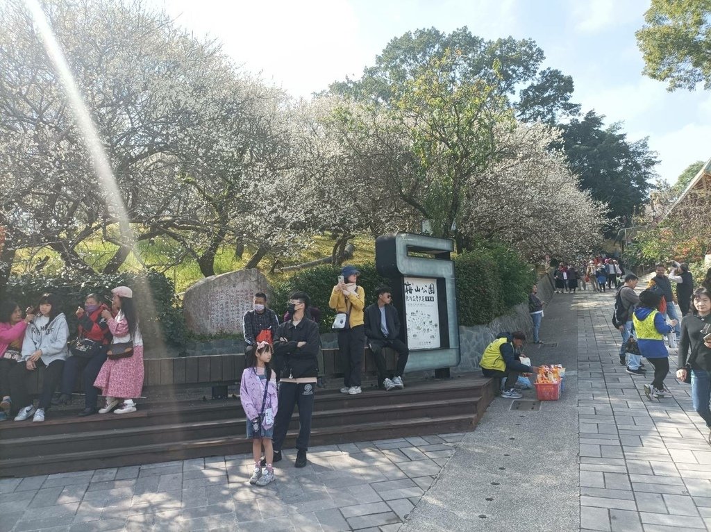 2025/01 遊樂嘉義節氣大寒前重遊-嘉義梅山公園