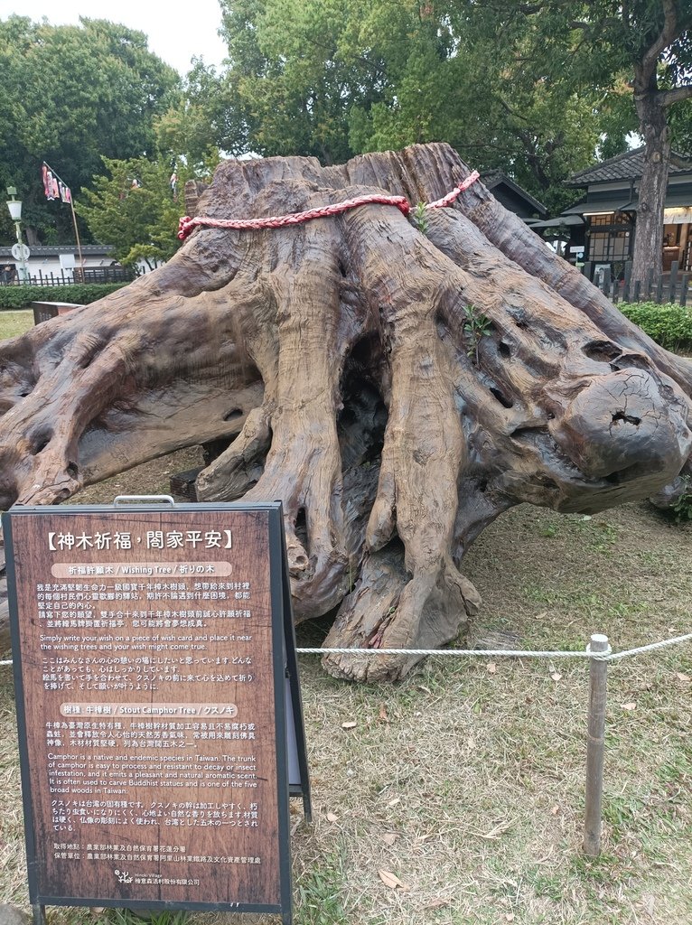 【森林文創園區】阿里山林業村、漫步檜意森活村、北門車站
