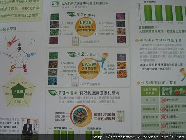圖片11.JPG