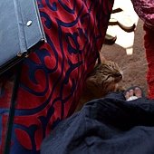 Day.07_Egypt-Dahab_015