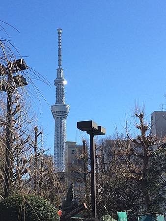 0125東京深冬小旅行0026.JPG