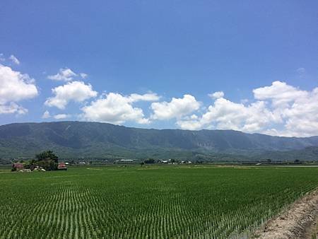IMG_9895.JPG
