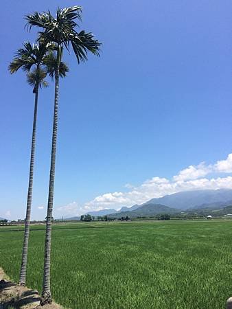 IMG_9896.JPG