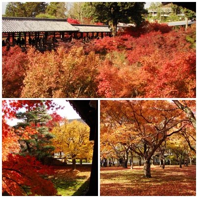 合-東福寺.jpg