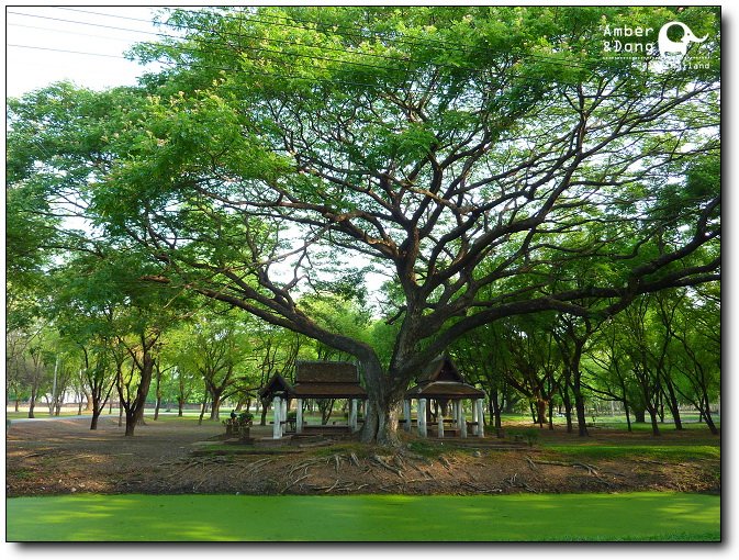 Wat Traphang Ngon01