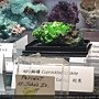 The 5th Taiwan Mineral Show