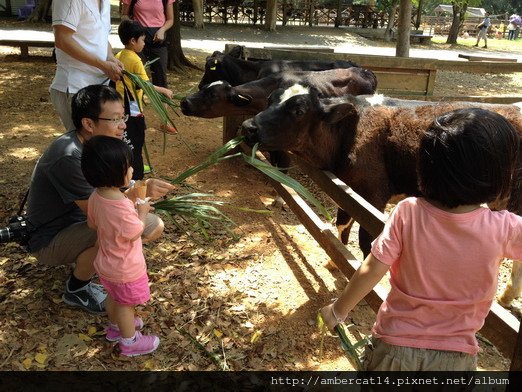 1030914_大小B日記（iphone4s）_106