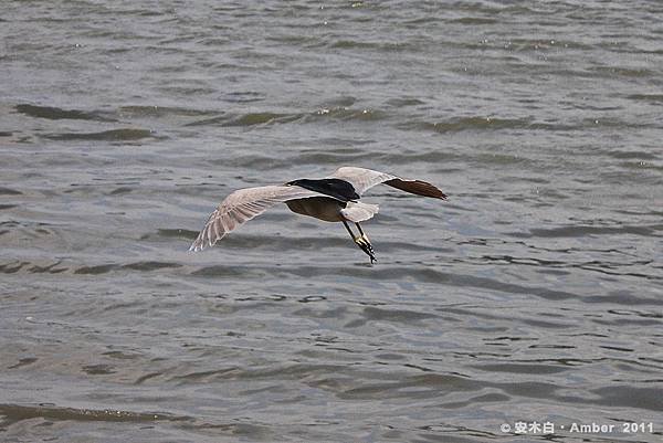P20110711_b05.jpg