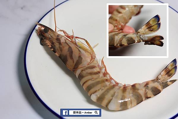 prawn_amberwang_B004.jpg