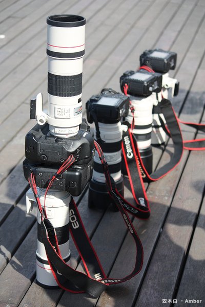 20100828_canon005.jpg