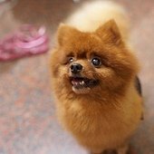 DSC07557